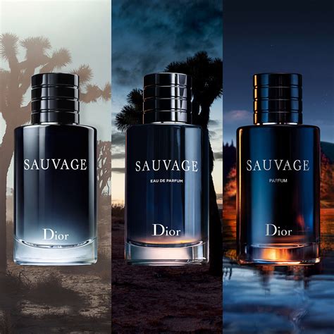 colognes that smell like dior sauvage|cheap sauvage dior cologne.